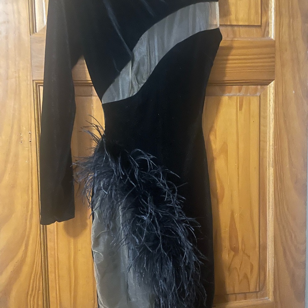 Black Velvet Feather-Trim Long-Sleeve Dress